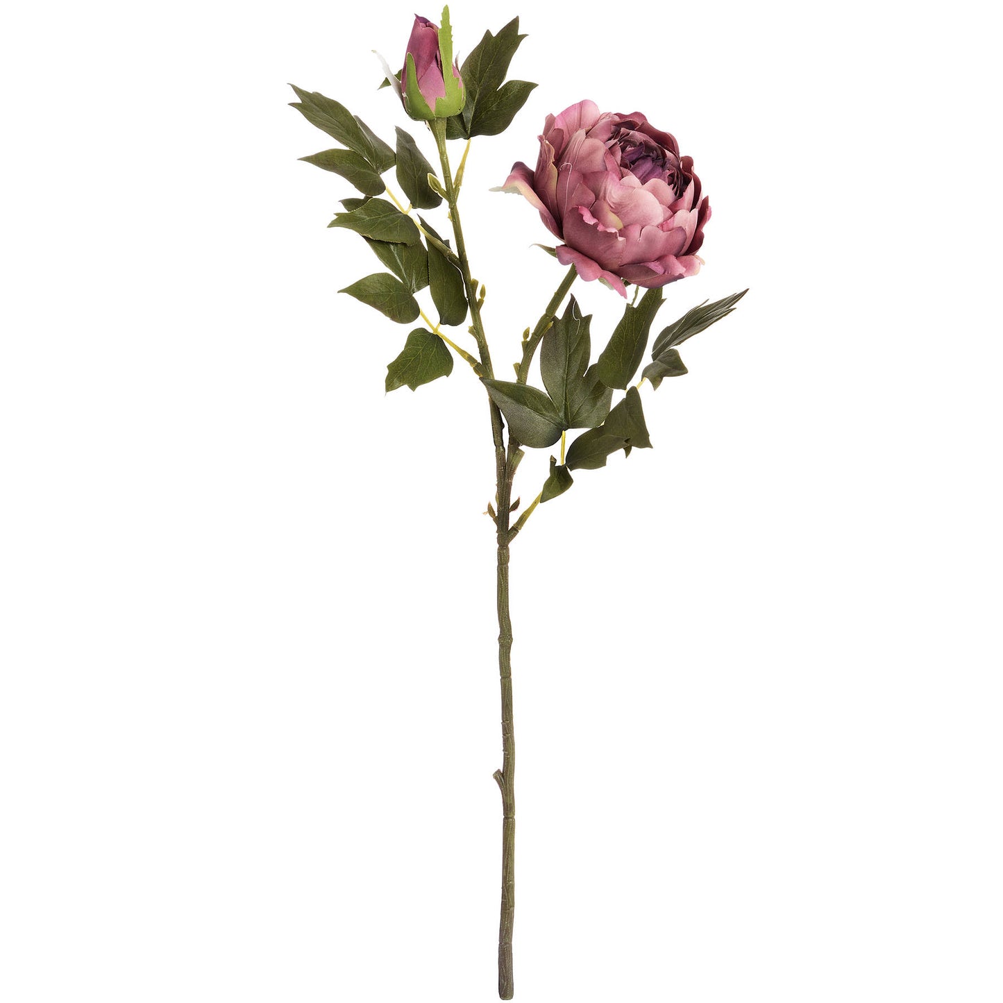 Luxurious Premium Artificial Peony Bloom Stem - 3 colours Lilly & Lula