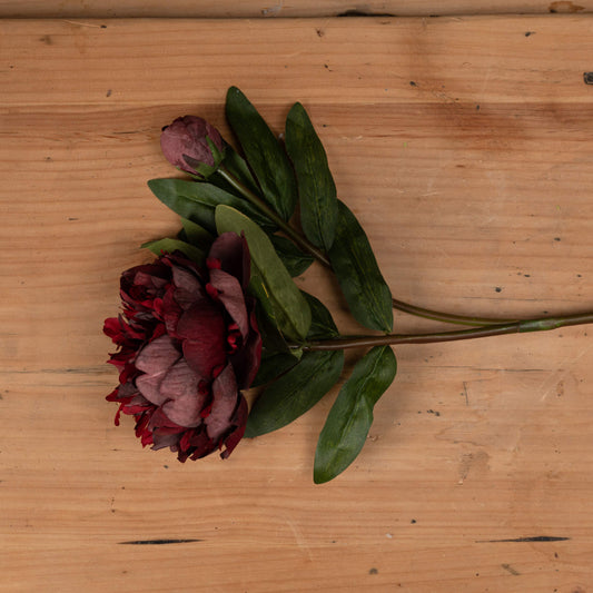 Luxurious Premium Artificial Peony Bloom Stem - 3 colours