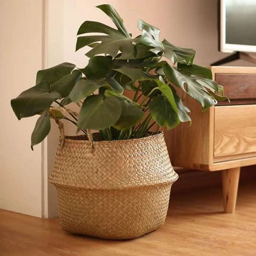 Eco-Friendly Seaweed Wicker Basket Rattan Storage Organiser - 7 Sizes Lilly & Lula