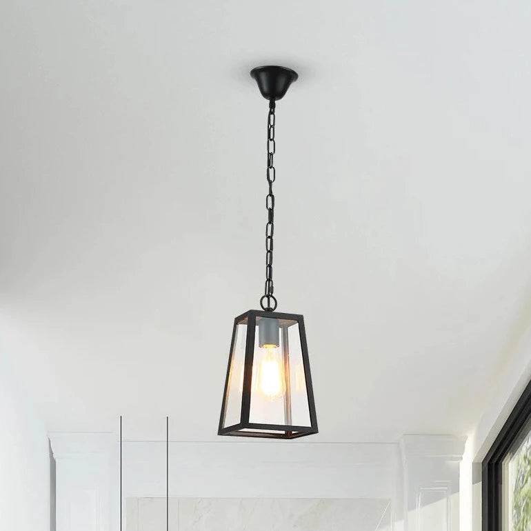 Modern Industrial Indoor & Outdoor Hanging Pendant Light in Black Lilly & Lula