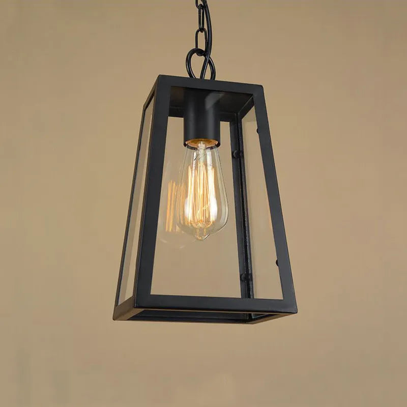 Modern Industrial Indoor & Outdoor Hanging Pendant Light in Black Lilly & Lula