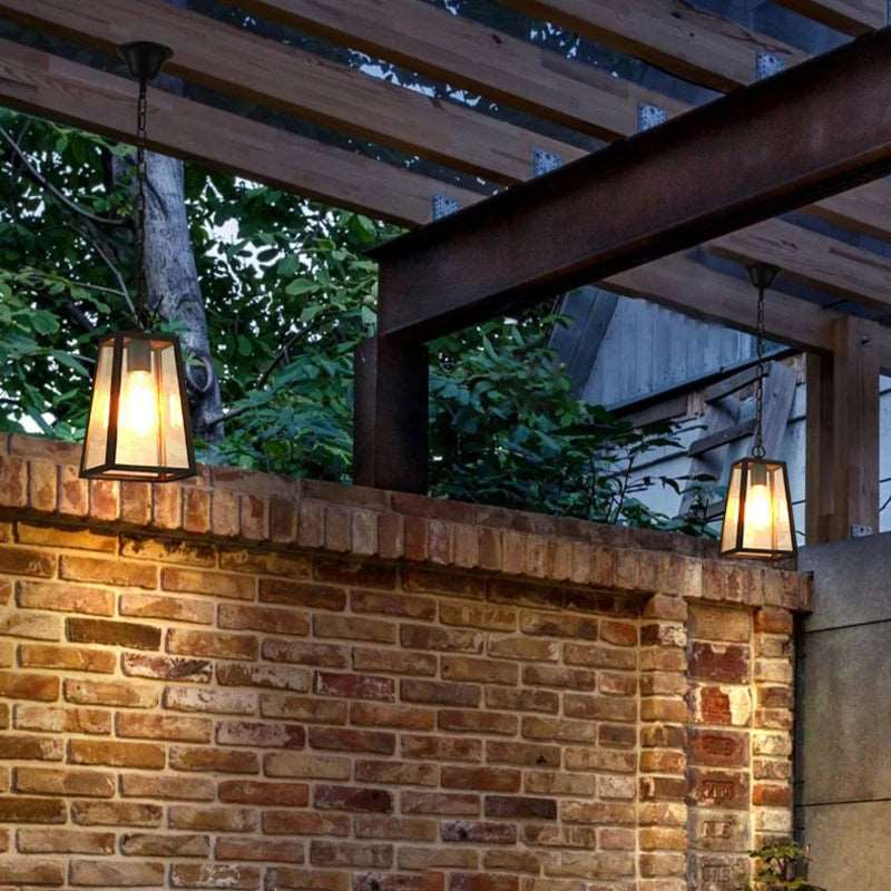 Modern Industrial Indoor & Outdoor Hanging Pendant Light in Black Lilly & Lula