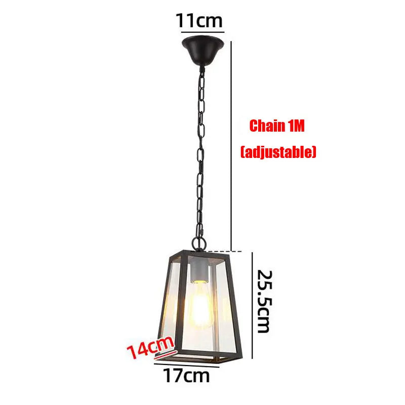 Modern Industrial Indoor & Outdoor Hanging Pendant Light in Black Lilly & Lula