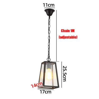 Modern Industrial Indoor & Outdoor Hanging Pendant Light in Black Lilly & Lula