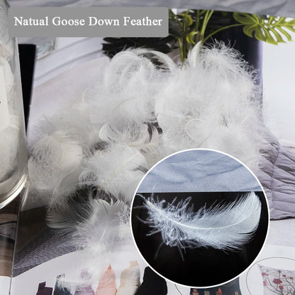 High Quality Cotton Goose Down Feather Cushion Inserts - 14 Sizes